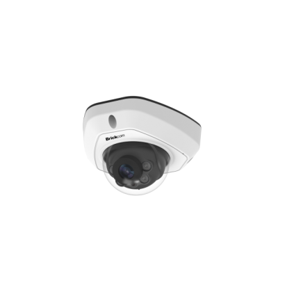 AI Vandal-proof Mini Dome Camera_Product Image_White _1_ - BK.png